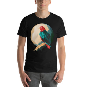 T-shirt Homme - Aigle